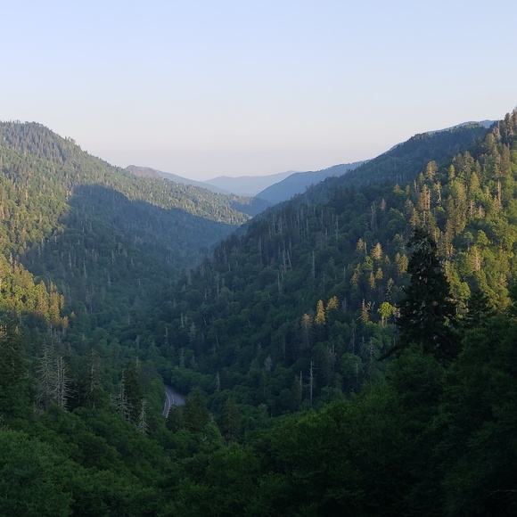 Meet your Posher, Brandon - Picture 1 of 1